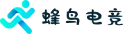 蜂鸟电竞-中国top1电竞平台